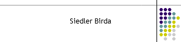 Siedler Birda